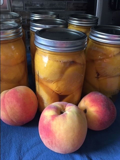 Canned Peaches